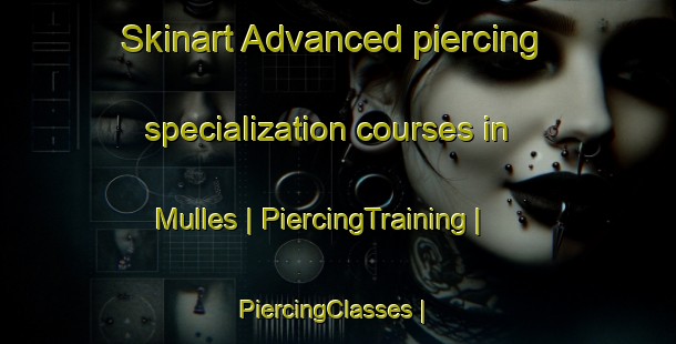 Skinart Advanced piercing specialization courses in Mulles | PiercingTraining | PiercingClasses | SkinartTraining-France